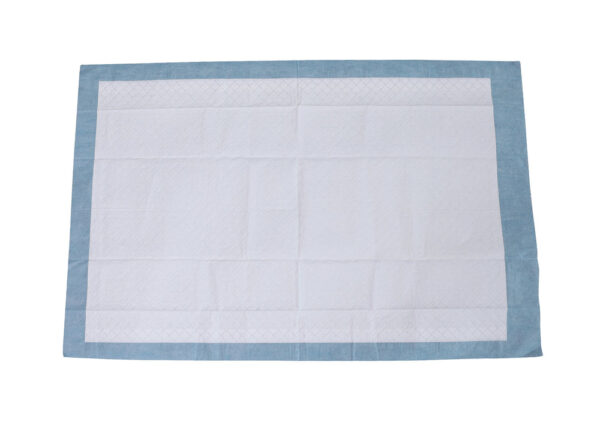 Disposable Underpads, Light Absorbency